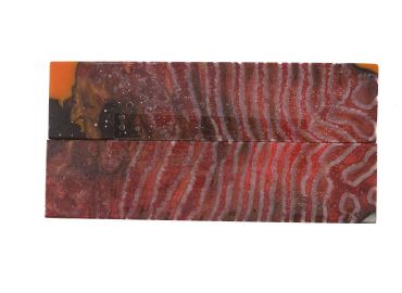 Manche de molaire de mammouth stabilisée ROUGE 2